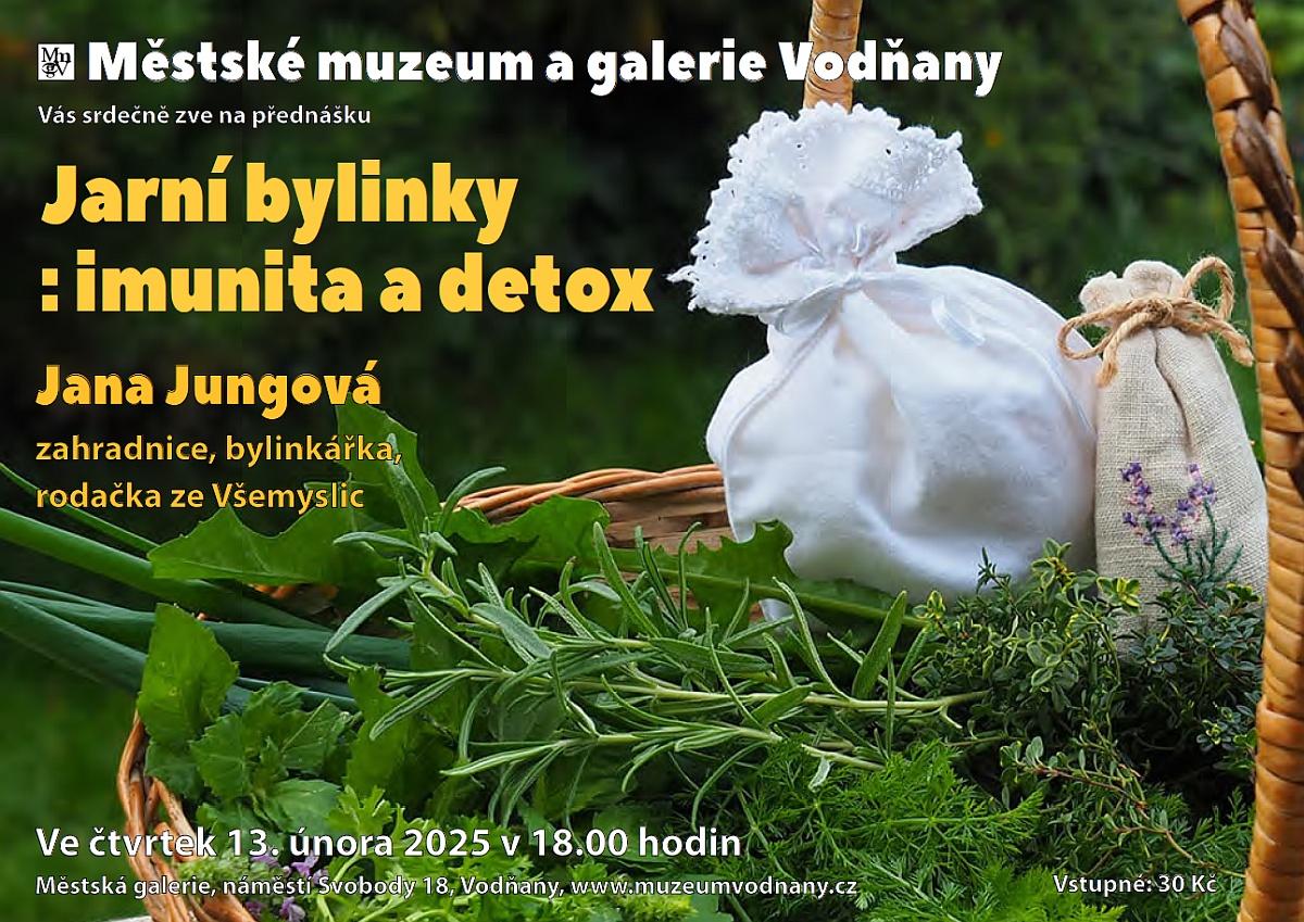 Plakát - Jarní bylinky : imunita, detox