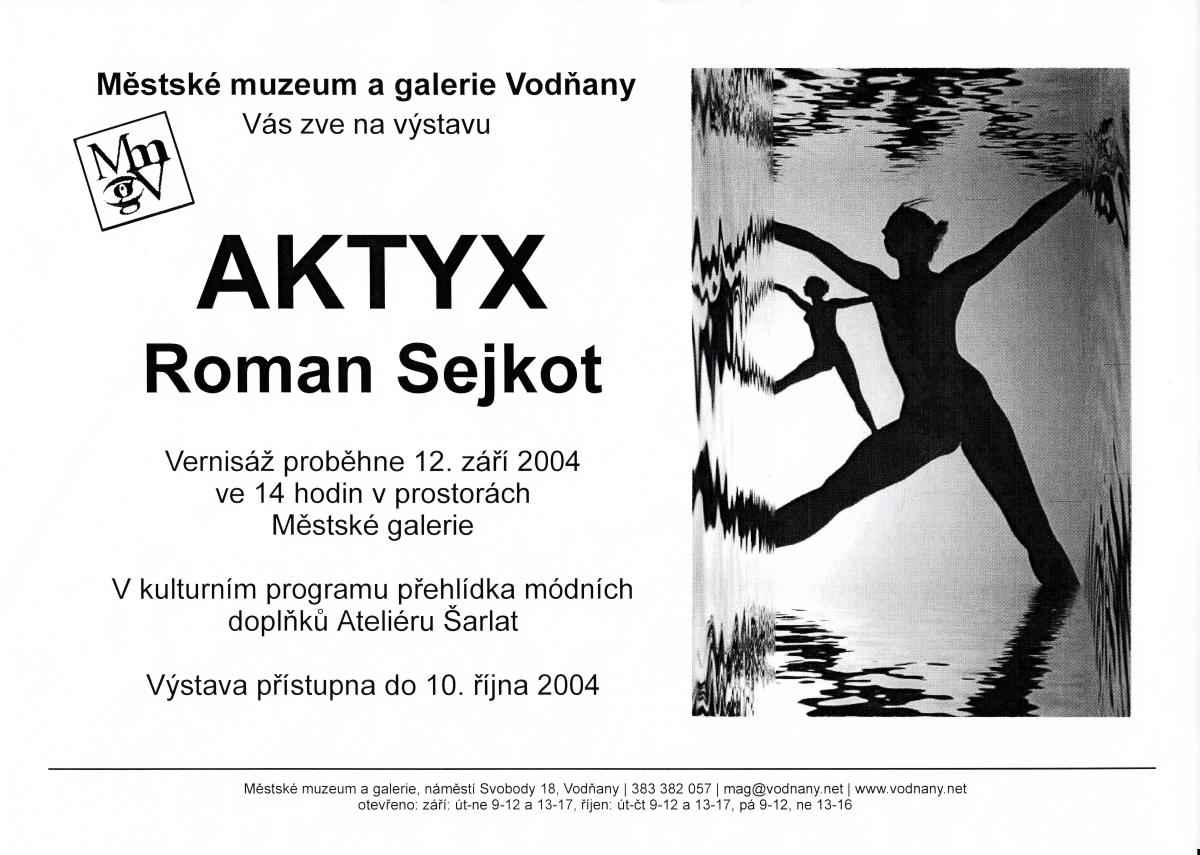 Plakát - Roman Sejkot